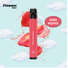 Fraise Explosion - FLAWOOR MAX